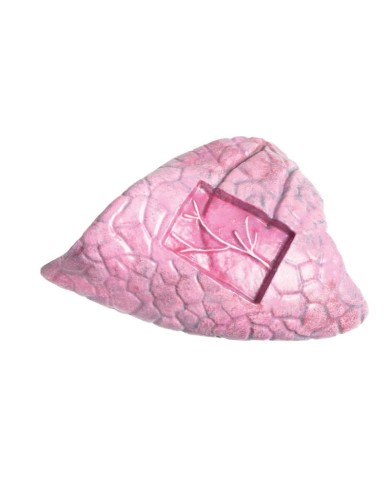 Modello di Bovino in scala 1 3 scomponibile in 15 parti EZ VET3300