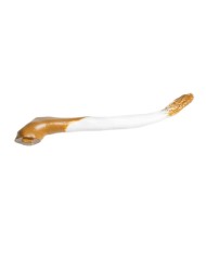 Modello di Bovino in scala 1 3 scomponibile in 15 parti EZ VET3300