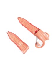 Modello di Bovino in scala 1 3 scomponibile in 15 parti EZ VET3300