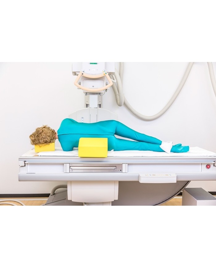 Manichino per posizionamento radiografico Scheletro plastico EZ7201