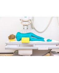 Manichino per posizionamento radiografico Scheletro plastico EZ7201