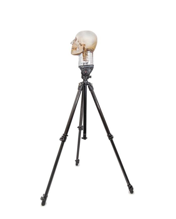 Stand robusto per cranio radiografico EZ7350