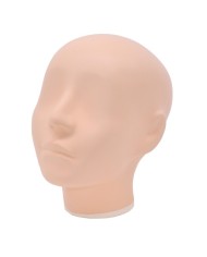 Simulatore per radiologia Cranio radiografico con ossa artificiali Opac