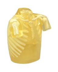 Simulatore per radiologia Torace radiografico con ossa artificiali Tras