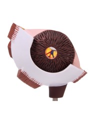 Erler Zimmer Met dell occhio ingrandita F50