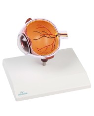 Erler Zimmer Met dell occhio ingrandita F50