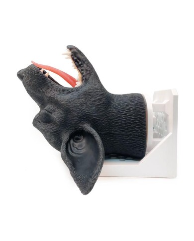 Testa di cane per simulazione pratica di intubazione