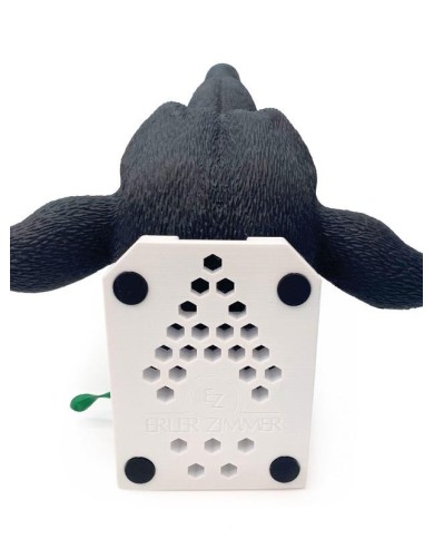 Testa di cane per simulazione pratica di intubazione