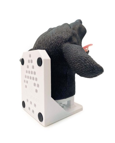 Testa di cane per simulazione pratica di intubazione