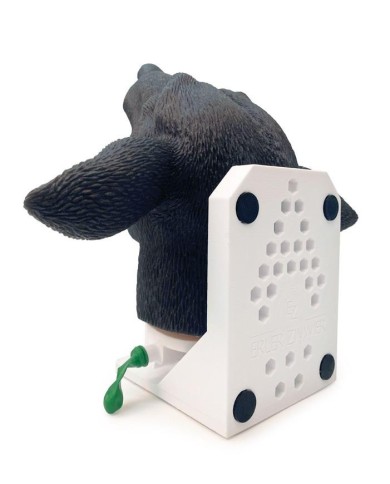 Testa di cane per simulazione pratica di intubazione