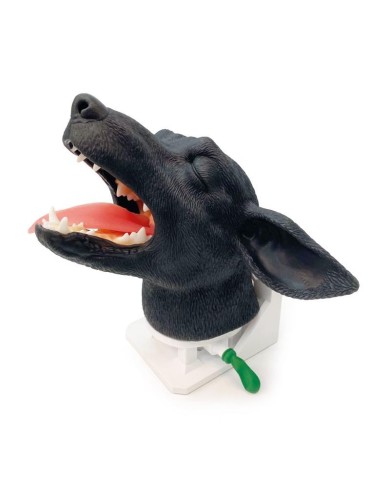 Testa di cane per simulazione pratica di intubazione