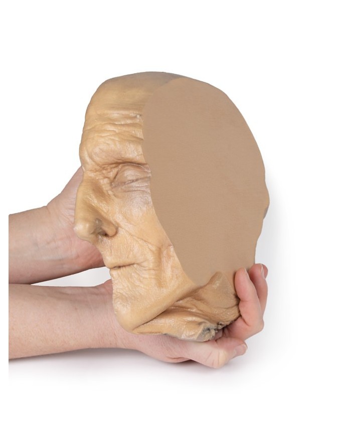 Sezione sagittale della testa con dissezione profonda Erler Zimmer 3D ana Sezione sagittale della testa con dissezione profonda Erler Zimmer 3D ana