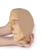 Sezione sagittale della testa con dissezione profonda Erler Zimmer 3D ana Sezione sagittale della testa con dissezione profonda Erler Zimmer 3D ana