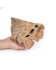 Vie del seno paranasale Erler Zimmer 3D anatomy Series MP1106