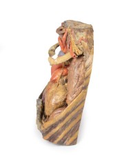 Dissezione del torace con cuore e vasi Erler Zimmer 3D anatomy Series MP1