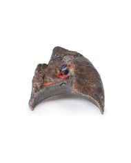 Dissezione dell ilo del polmone destro Erler Zimmer 3D anatomy Series MP1