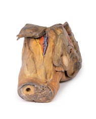 Dissezione di emipelvi e coscia maschile Erler Zimmer 3D anatomy Series M