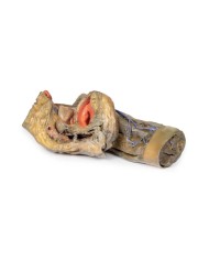 Dissezione di emipelvi e coscia femminile Erler Zimmer 3D anatomy Series 