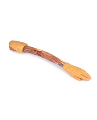 Dissezione dell arto superiore Erler Zimmer 3D anatomy Series