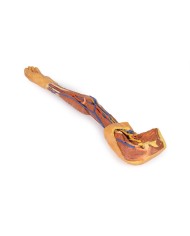 Dissezione dell arto superiore Erler Zimmer 3D anatomy Series