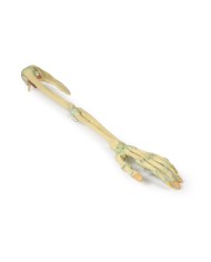 Legamenti dell arto superiore Erler Zimmer 3D anatomy Series MP1520