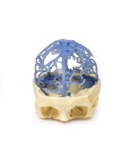 Circolazione venosa del cranio Erler Zimmer 3D anatomy Series MP1645