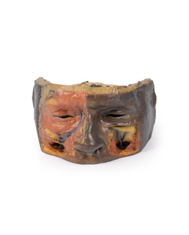 Orbita Superiore Erler Zimmer 3D anatomy Series