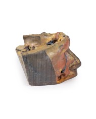 Orbita Superiore Erler Zimmer 3D anatomy Series