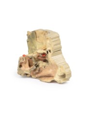 Orbita Mediale Erler Zimmer 3D anatomy Series