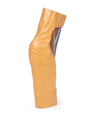 Fossa cubitale Erler Zimmer 3D anatomy Series