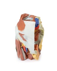 Dissezione del Bacino destro femminile Erler Zimmer 3D anatomy Series