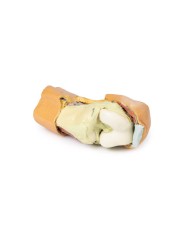 Dissezione profonda dell'articolazione del ginocchio flessa- Erler Zimmer 3D anatomy Series