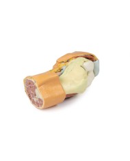 Dissezione profonda dell'articolazione del ginocchio flessa- Erler Zimmer 3D anatomy Series