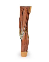 Dissezione della muscolatura dell arto inferiore Erler Zimmer 3D anatomy Dissezione della muscolatura dell arto inferiore Erler Zimmer 3D anatomy