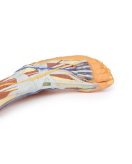 Dissezione superficiale dell'arto inferiore - Erler Zimmer 3D anatomy Series