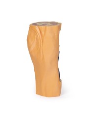 Fossa Poplitea con distale della coscia e gambra prossimale - Erler Zimmer 3D anatomy Series