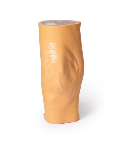 Dissezione profonda della Fossa Poplitea - Erler Zimmer 3D anatomy Series