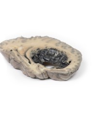 Emorragia cerebrale Erler Zimmer 3D anatomy Series MP2002