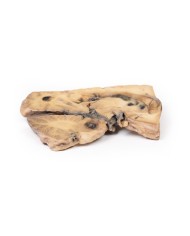 Aneurisma di Berry dell arteria basilare Erler Zimmer 3D anatomy Series M Aneurisma di Berry dell arteria basilare Erler Zimmer 3D anatomy Series M