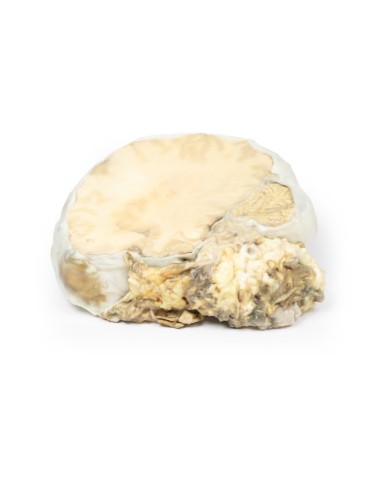 Adenoma ipofisario Erler Zimmer 3D anatomy Series MP2006