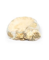 Adenoma ipofisario Erler Zimmer 3D anatomy Series MP2006 Adenoma ipofisario Erler Zimmer 3D anatomy Series MP2006