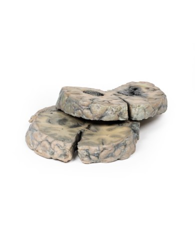 Emorragia intracerebrale Erler Zimmer 3D anatomy Series MP2012