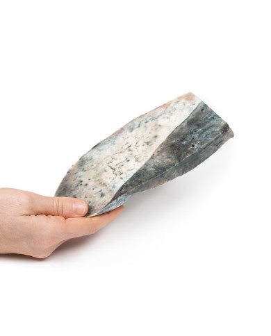 Polmonite lobare Fase di epatizzazione grigia Erler Zimmer 3D anatomy S