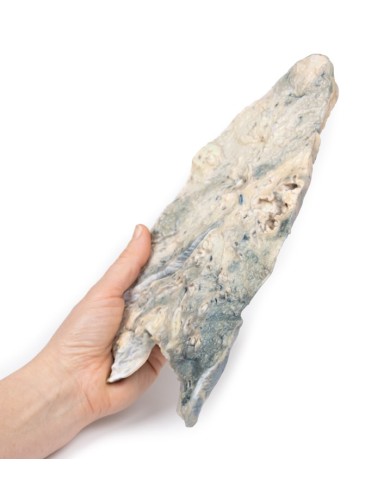 Polmone ascesso da stafilococco aureo Erler Zimmer 3D anatomy Series MP