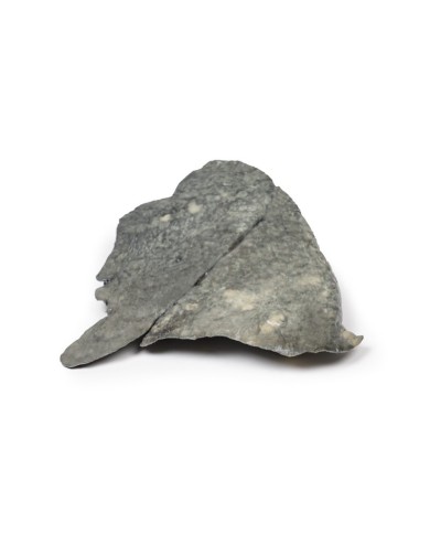 Polmone depositi multipli di carcinoma secondario nel polmone e nella pleu