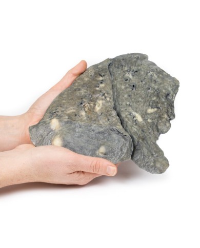 Polmone depositi multipli di carcinoma secondario nel polmone e nella pleu