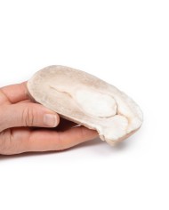 Leiomioma uterino Erler Zimmer 3D anatomy Series MP2107