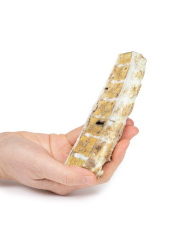 Tubercolosi Erler Zimmer 3D anatomy Series MP2111