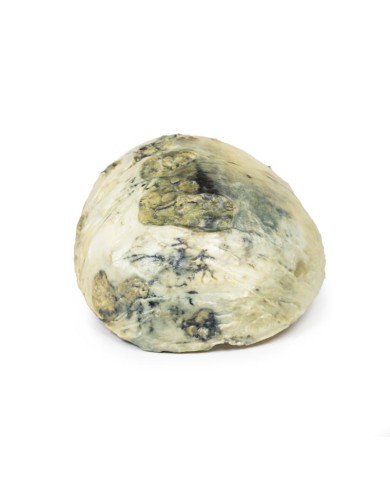 Sifilide terziaria Erler Zimmer 3D anatomy Series MP2113