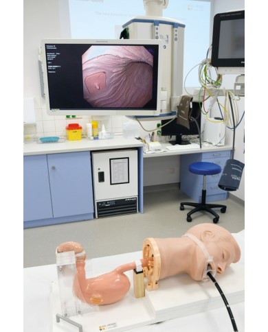 Simulatore di gastroscopia EGD EZ R21100